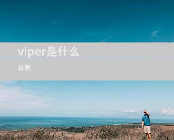 viper是什么意思