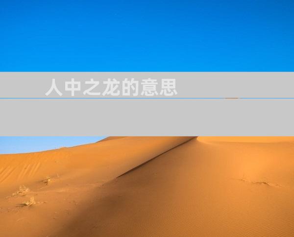 人中之龙的意思