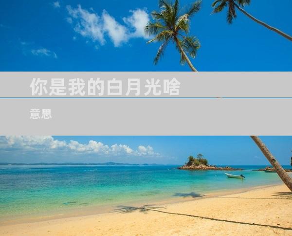 你是我的白月光啥意思