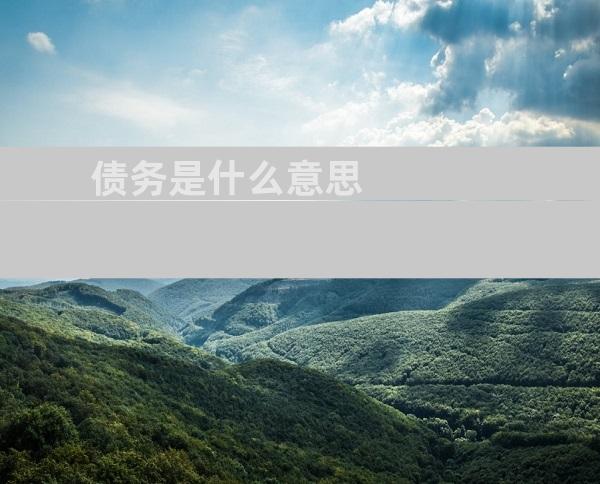 债务是什么意思