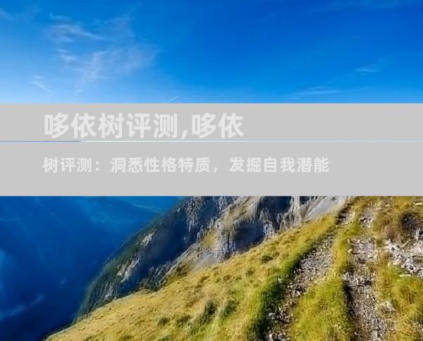 哆依树评测,哆依树评测：洞悉性格特质，发掘自我潜能