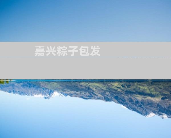嘉兴粽子包发