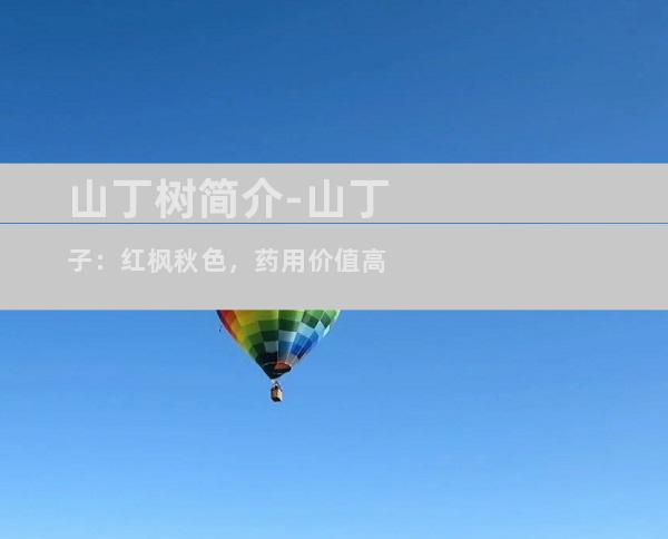 山丁树简介-山丁子：红枫秋色，药用价值高
