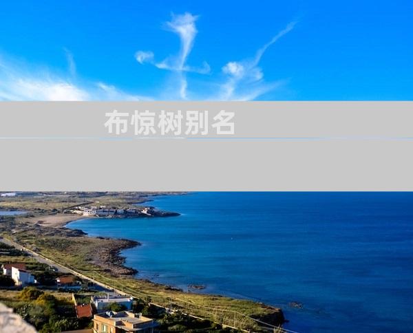 布惊树别名