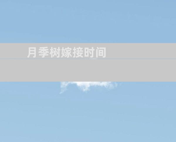 月季树嫁接时间