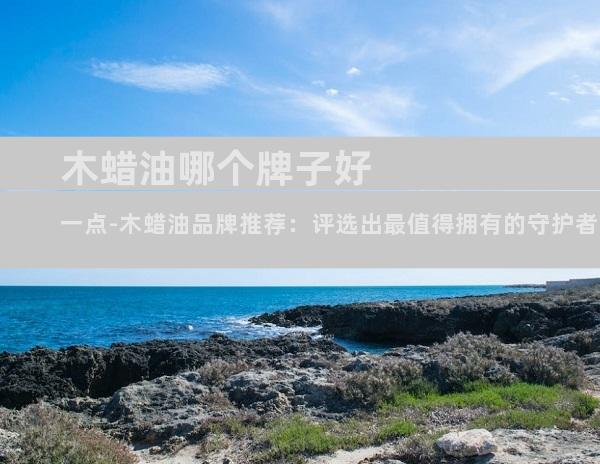 木蜡油哪个牌子好一点-木蜡油品牌推荐：评选出最值得拥有的守护者