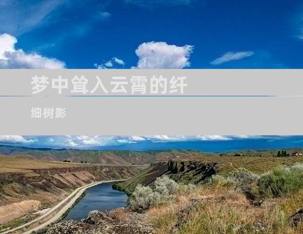 梦中耸入云霄的纤细树影
