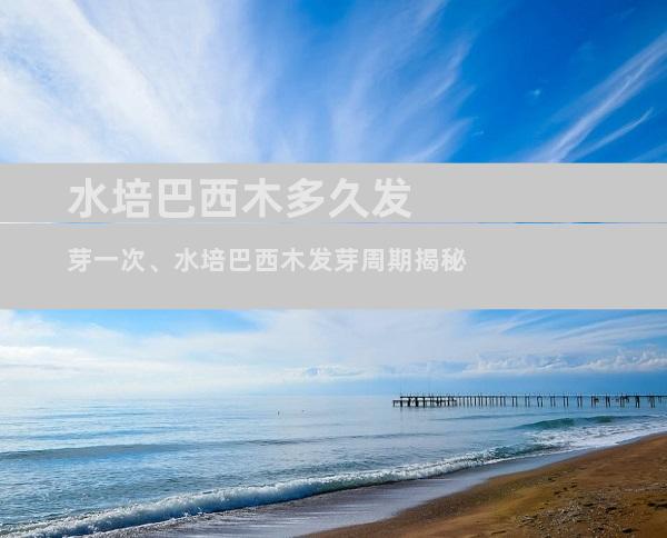 水培巴西木多久发芽一次、水培巴西木发芽周期揭秘