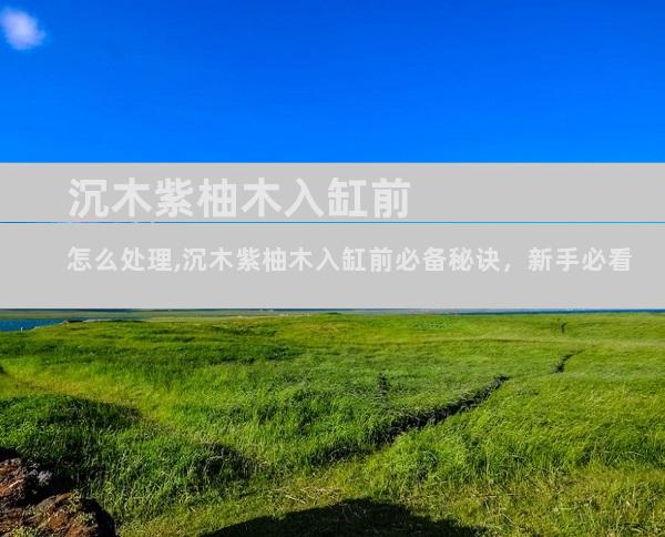 沉木紫柚木入缸前怎么处理,沉木紫柚木入缸前必备秘诀，新手必看