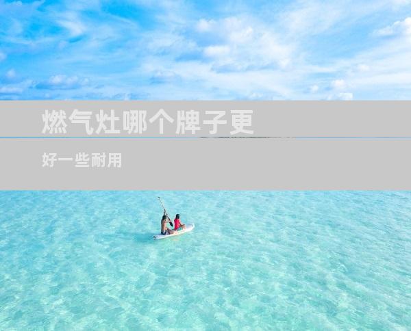 燃气灶哪个牌子更好一些耐用