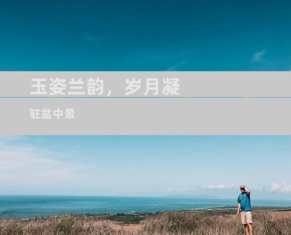 玉姿兰韵，岁月凝驻盆中景