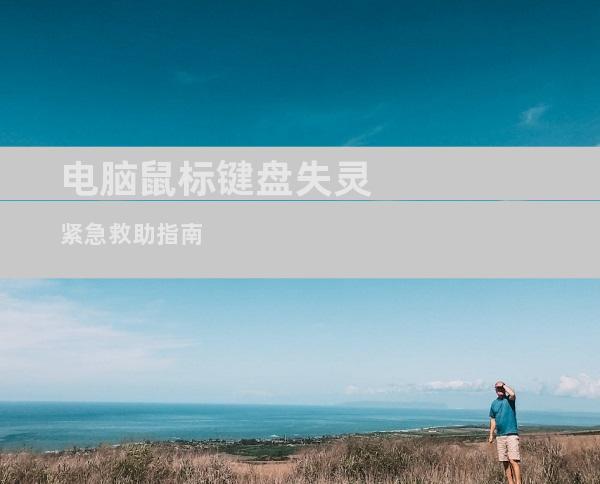 电脑鼠标键盘失灵紧急救助指南