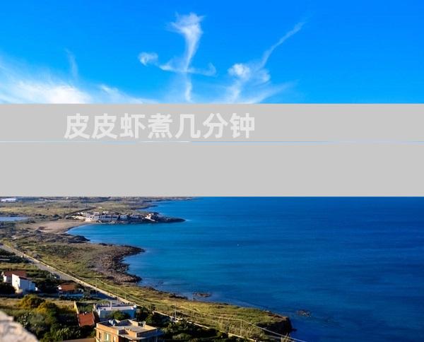 皮皮虾煮几分钟