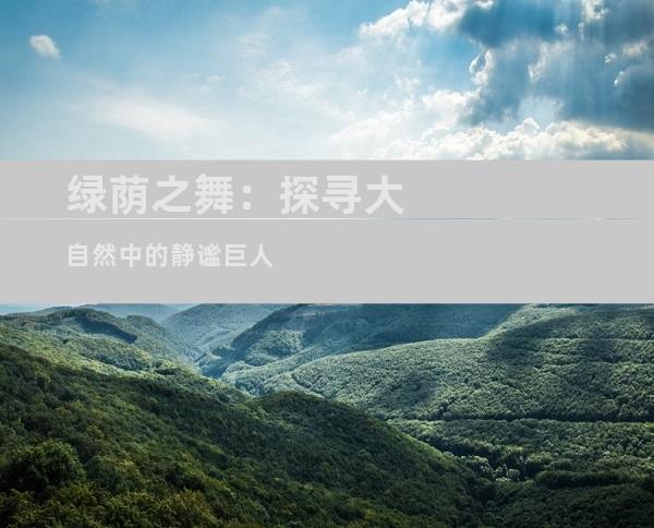 绿荫之舞：探寻大自然中的静谧巨人