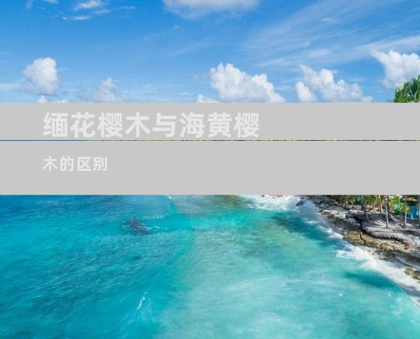 缅花樱木与海黄樱木的区别