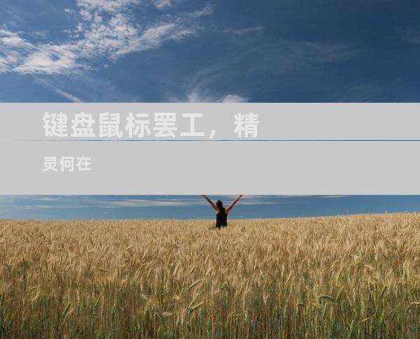 键盘鼠标罢工，精灵何在